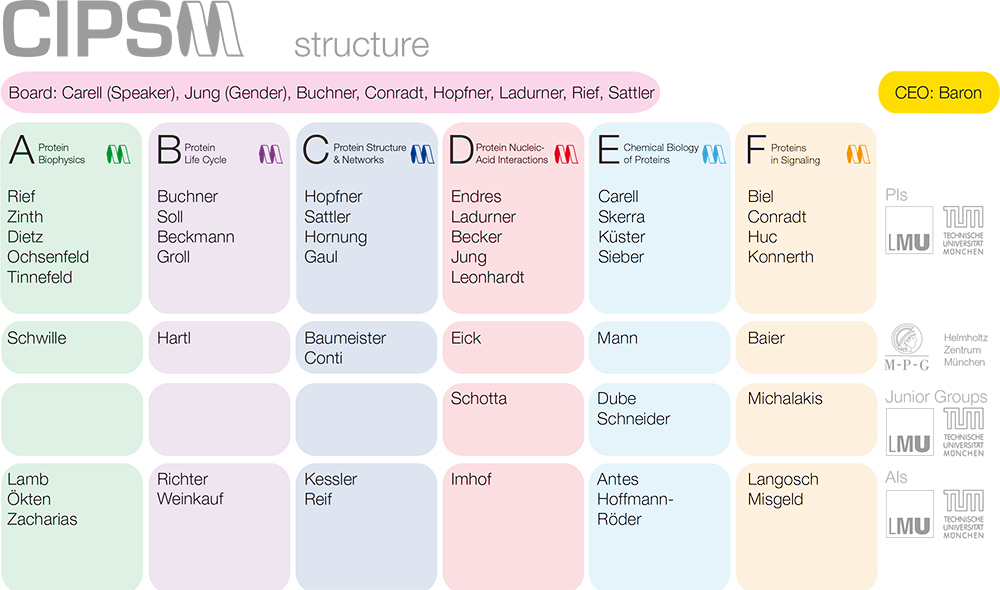 CIPSM Organigram