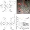 braeuchle_michaelis_chemphychem_09_500.100x0.jpg