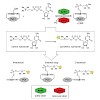 itzen_angewandte_chemie_international_edition_500.100x0.jpg