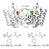 groll_103_kunfermann_jmedchem_2013_500.100x0.jpg