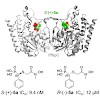 groll_103_kunfermann_jmedchem_2013_500.100x0.jpg