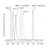 buchner_nature2011_500.100x0.jpg