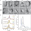 buchner_kessler_weinkauf_cell_100_500.100x0.jpg