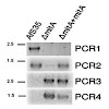 heesemann2_500.100x0.jpg