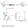 sattler_acschembio2014_500.100x0.jpg