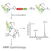 sattler_acschembio2014_500.100x0.jpg