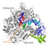 cramer_pnas_sept2013_500.100x0.jpg