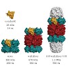 reifmainz_proteasome_frosty2013_angewandtechemie_500.100x0.jpg