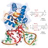 reif_2013_angewandtechemie_500.100x0.jpg