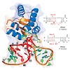 reif_2013_angewandtechemie_500.100x0.jpg