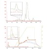 sattler_zeitler_etal_plantmolbiol2013_500.100x0.jpg