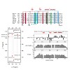 sattler_buchner_kateb_etal_plosone2013_500.100x0.jpg