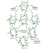 kessler_791_2012_jacs_permeability_in_ala_peptides_500.100x0.jpg