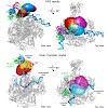 michaelis_cramer_treutlein_molcell_galley_500.100x0.jpg