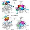 michaelis_cramer_treutlein_molcell_galley_500.100x0.jpg