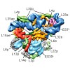 wilson_beckmann__pnas_2010_500.100x0.jpg