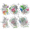 beckmann_wilson_pnas_cryo-em_structure_2010_500.100x0.jpg