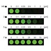 hygromycin_aminocyclitol_chembiol2009_500.100x0.jpg