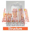 c__dokumente_und_einstellungen_steemann_desktop_structure_500.100x0.jpg