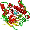 kessler_biophyschem_09_500.100x0.jpg