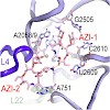 petropoulosazithromycinjmb2009_500.100x0.jpg