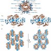 sattler_ps_08_500.100x0.jpg