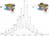 structural_biology_of_rna_pol_iii_500.100x0.jpg