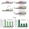 multisubunit_rna_pol_500.100x0.jpg