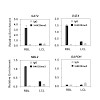 imhof_nucleicacids_res2013_500.100x0.jpg