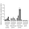 pichler_etal_cellb_2011_500.100x0.jpg