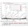 2010_resemann_analytical_chemistry_500.100x0.jpg