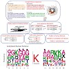 hake_pnas_09_500.100x0.jpg