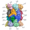 groll_sieber_126_gersch_chembiol_2015_500.100x0.jpg