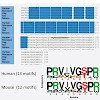 mann_nucleic_acids_res_zougman_et_al_2011_500.100x0.jpg