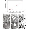 mann_journal_proteome_research_wisniewski_et_al_jan_2011_500.100x0.jpg