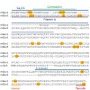 mann_journal_proteome_res_2010_500.100x0.jpg