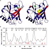 skerra_biochem_500.100x0.jpg