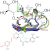 berg_bioorg_med_chem_09_500.100x0.jpg