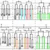 conradt_plos_okt2013_500.100x0.jpg