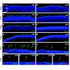 schaeferhoff_michalakis_cell_mol_life_sc_2010_500.100x0.jpg