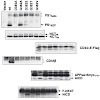 haass_journeurochem_10_500.100x0.jpg