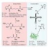 carell_chemistry_2015_500.100x0.jpg