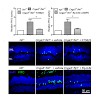 biel_michalakis_jbiolchem2015_500.100x0.jpg