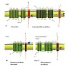 langosch_trendsinbiochemicalsciences2015_500.100x0.jpg