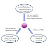 biel_michalakis_europjournalofpharmacandbiopharma2015_500.100x0.jpg