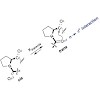 ochsenfeld_chemicalscience2015_500.100x0.jpg