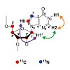 carell_sattler_chem201602784_500.100x0.jpg