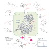 sieber-lehmann_et_al-2016-chemistry_-_a_european_journal_500.100x0.jpeg