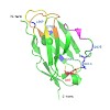 reif-buchner-2016_jmb_buchner-goto-reif_vl-al-amyloidosis_500.100x0.jpeg