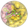 groll_142_xin_jmedchem_2016_500.100x0.jpeg